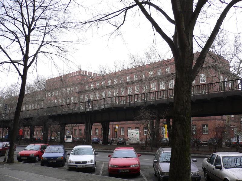 431373_243083229106479_2022837732_n