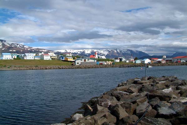 Com_258_1___Selected