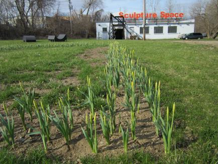 d8d118f310e8e3a1cba3453832589d48bcb12a5e_434x434