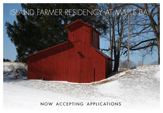 Artist-Residency-Crosshatch-Center-Art-Ecology