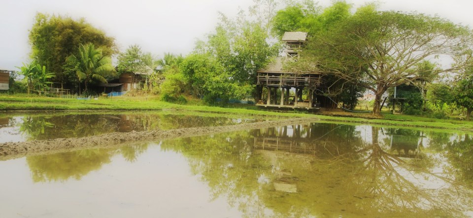 196018_266097260169087_268816131_n