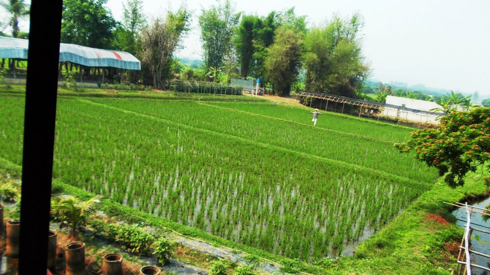 315076_346622518783227_1296411007_n