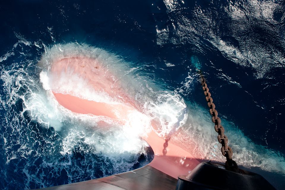 10514526_1558601347702987_7574110588760004205_n