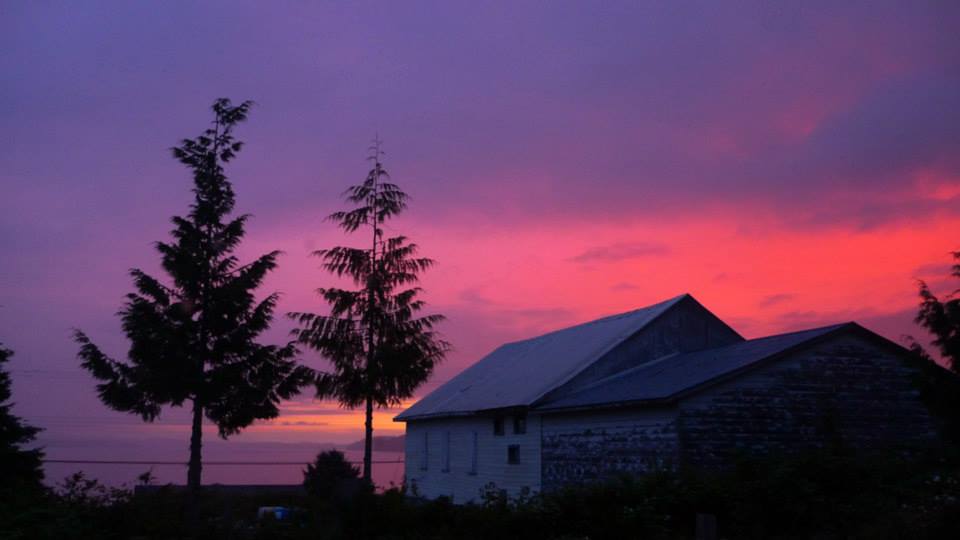 Artist-Residency-Sointula-Art-Shed