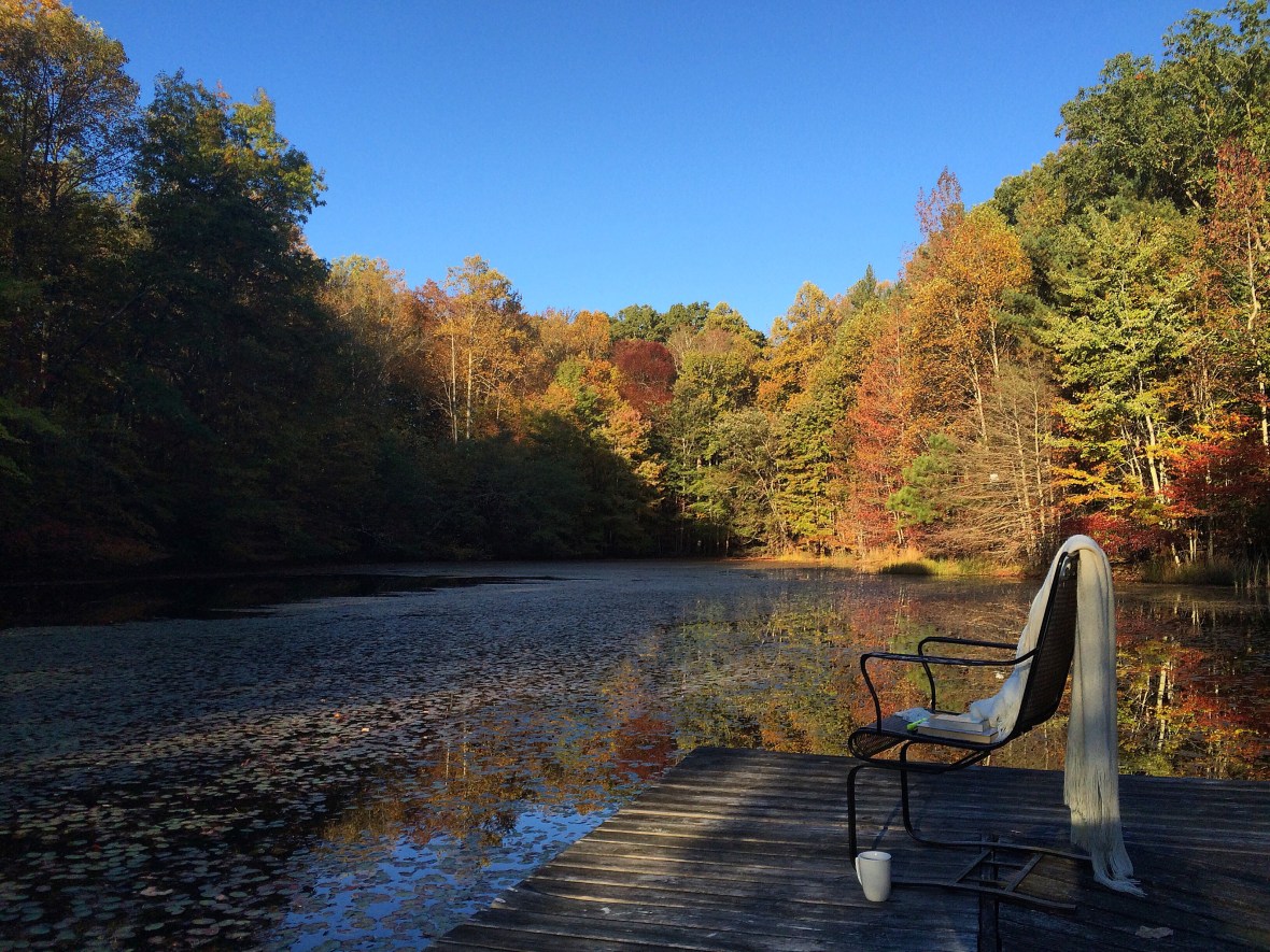 A149008A-724F-4D70-9C95-8CB59728B251